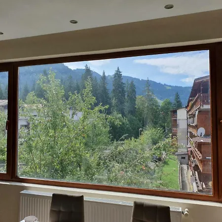 Montana View Apartment *